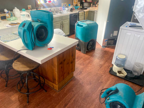Best Water damage contractors near me  in St Stephen, SC