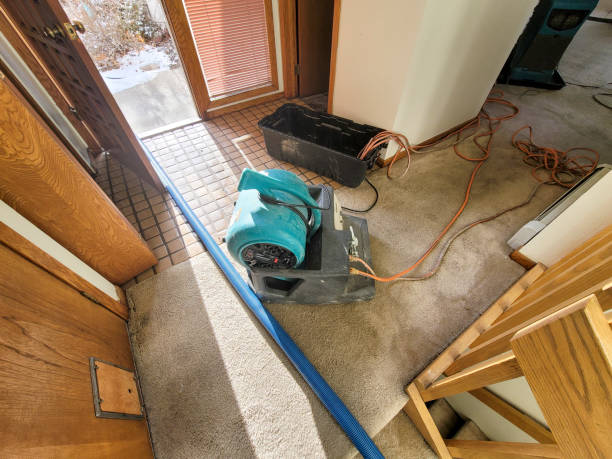 Best Water damage restoration company  in St Stephen, SC