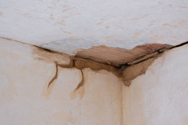 Best Water damage restoration services  in St Stephen, SC
