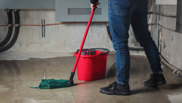 Best Professional water damage repair  in St Stephen, SC