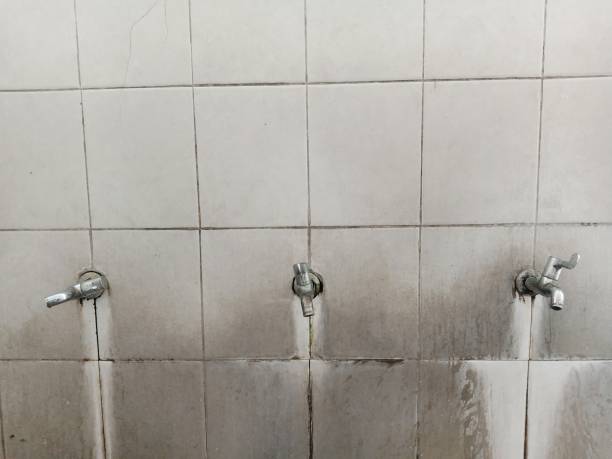Best Water damage restoration services  in St Stephen, SC