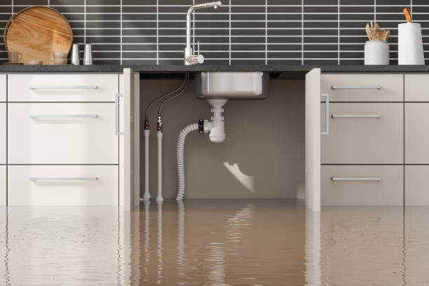 Best Residential water damage restoration  in St Stephen, SC