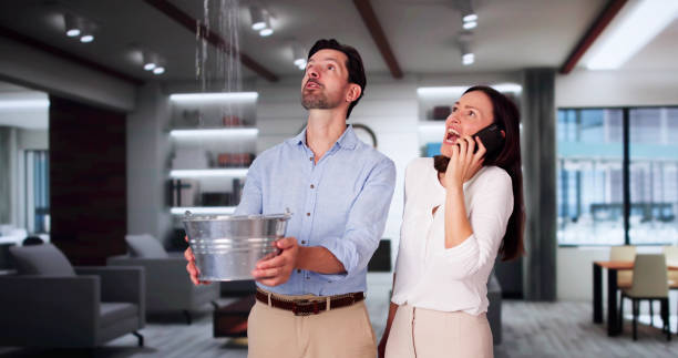 Best Water damage restoration near me  in St Stephen, SC